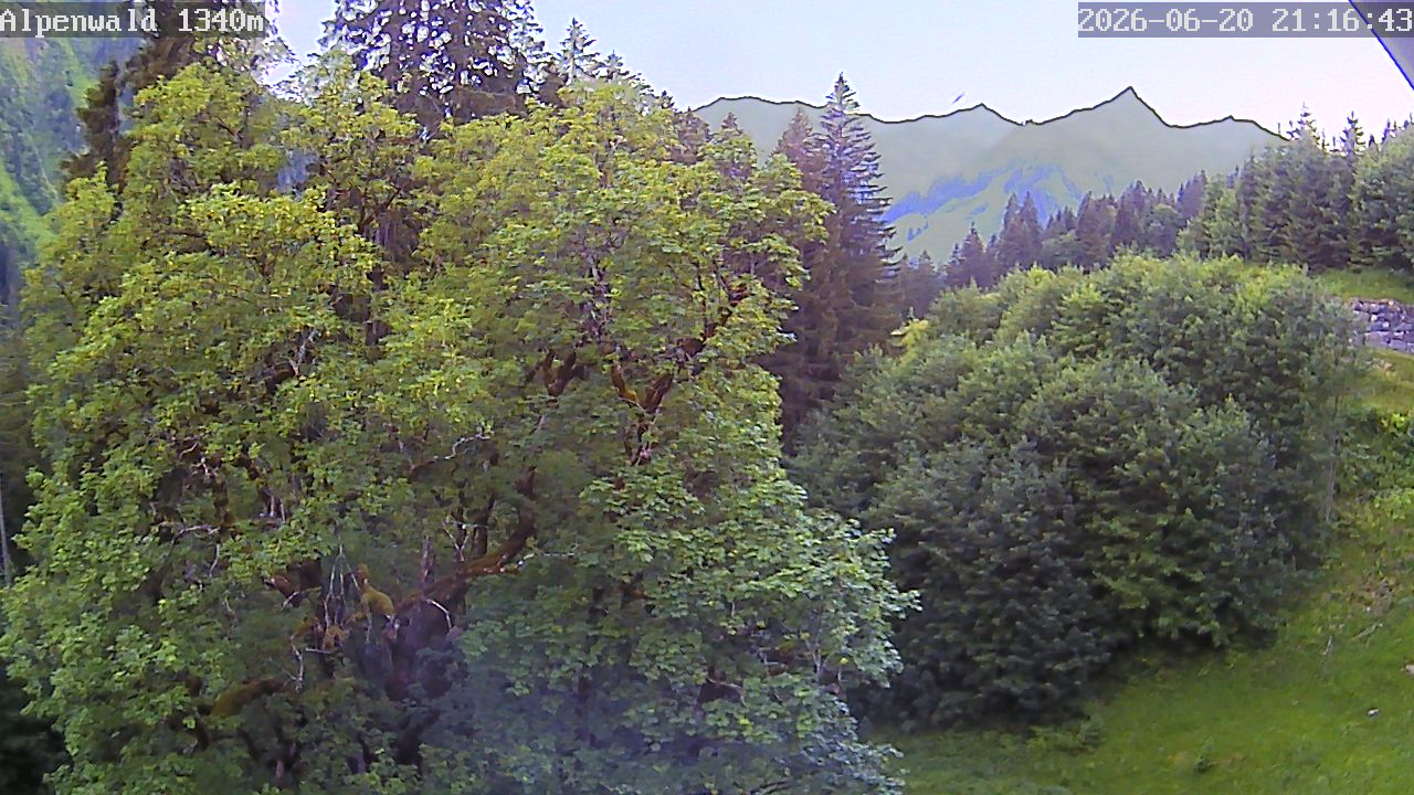 Bild: Gasthof Alpenwald